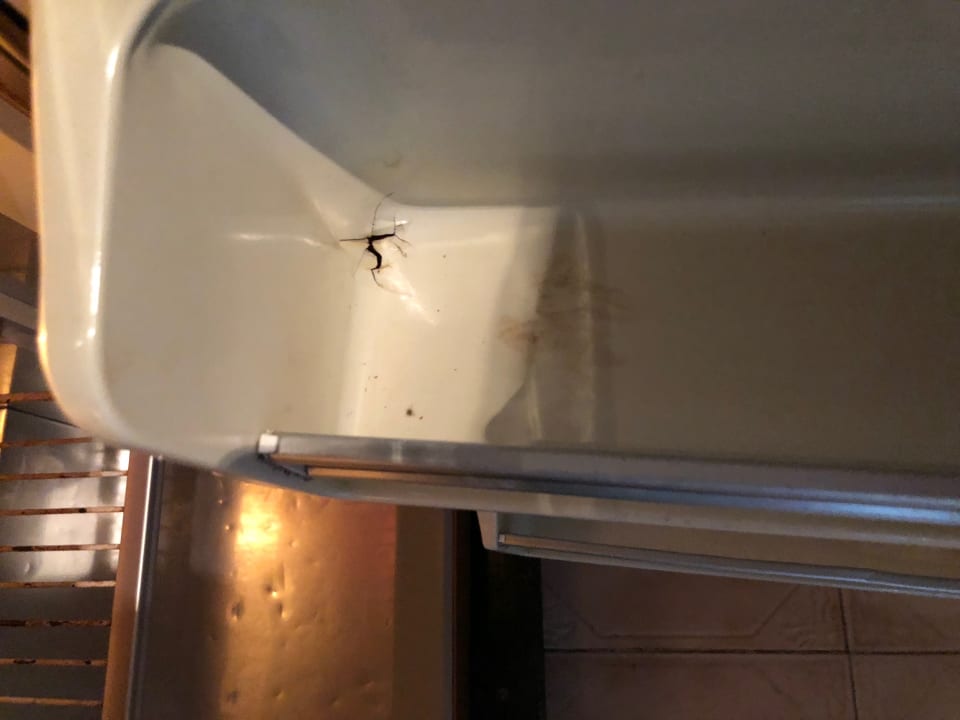 Zimmer Ghazala Beach