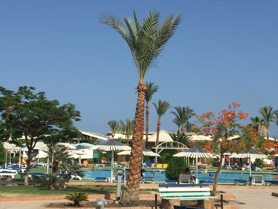 Pool Ghazala Beach
