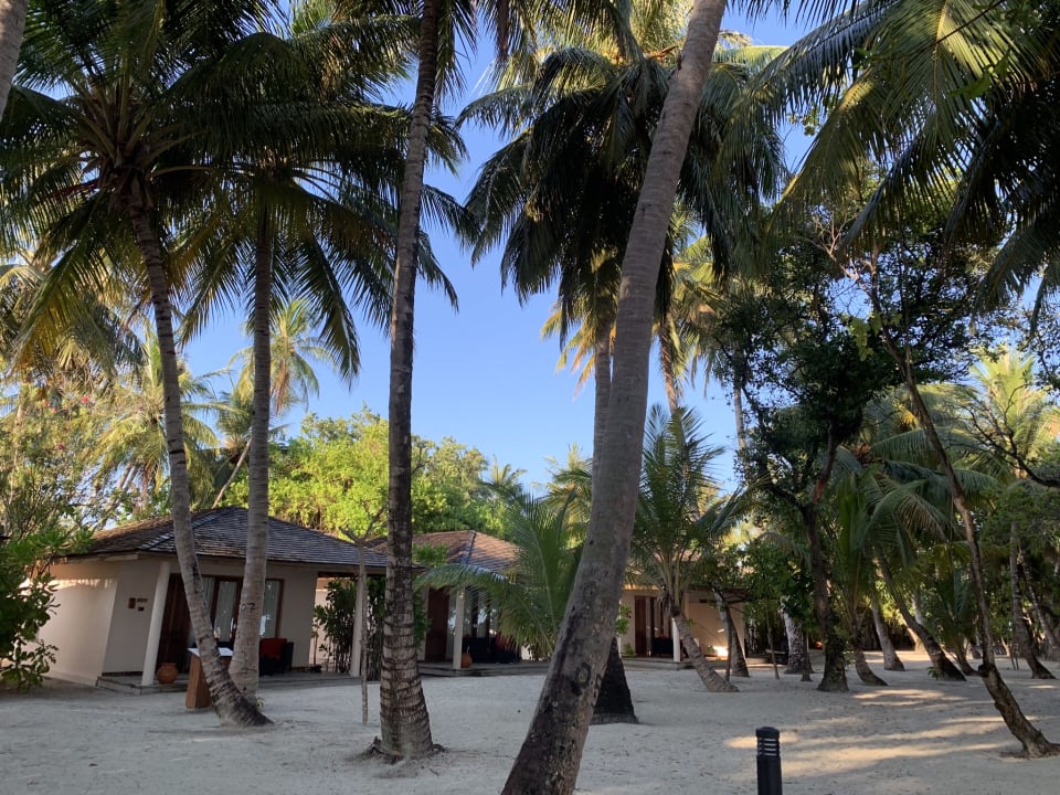 Gartenanlage Vilamendhoo Island Resort & Spa