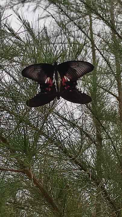 Gartenanlage Santhiya Phuket Natai Resort & Spa