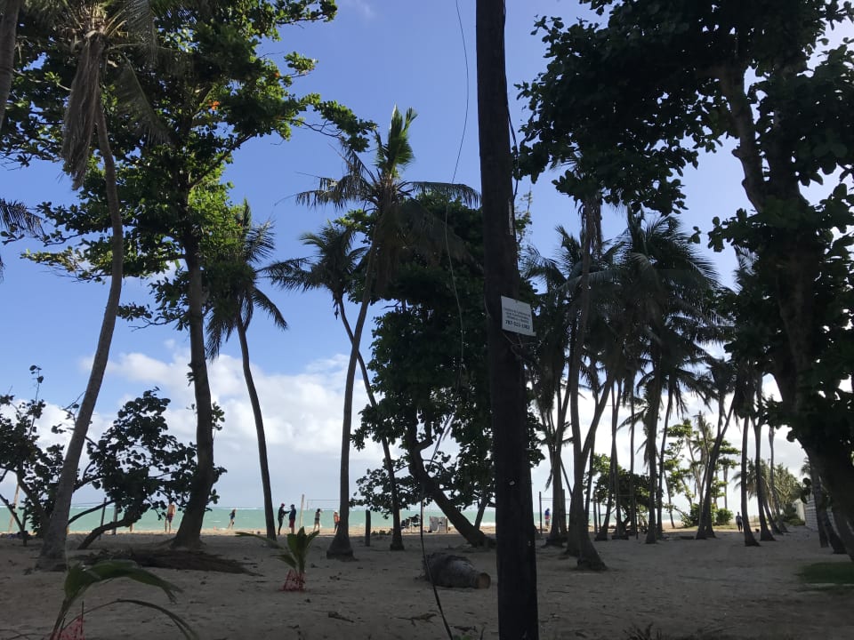 Außenansicht Acacia Boutique Hotel