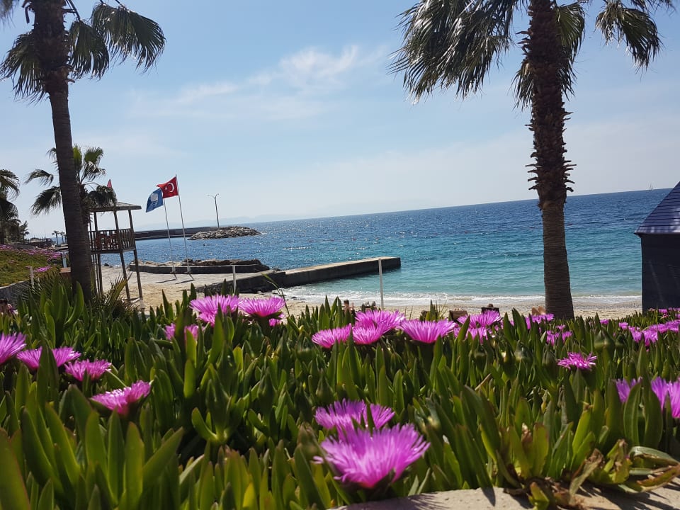 Strand Hotel Pine Bay Holiday Resort