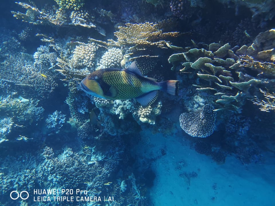 Strand Brayka Bay Resort