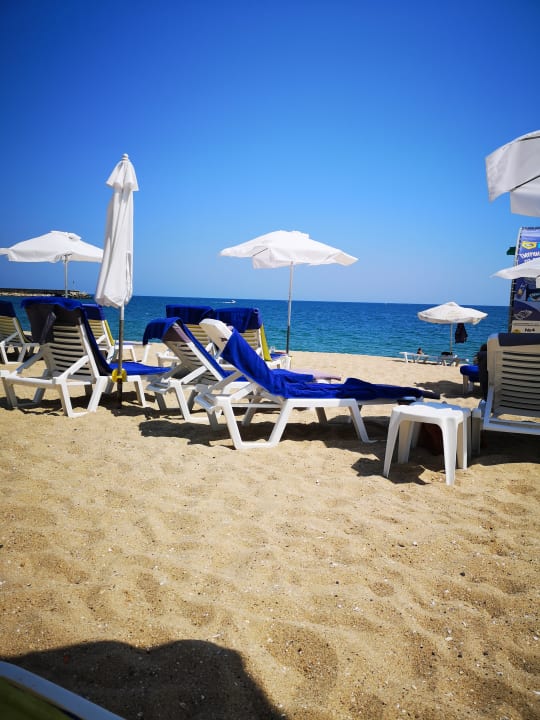 Strand Sentido Marea