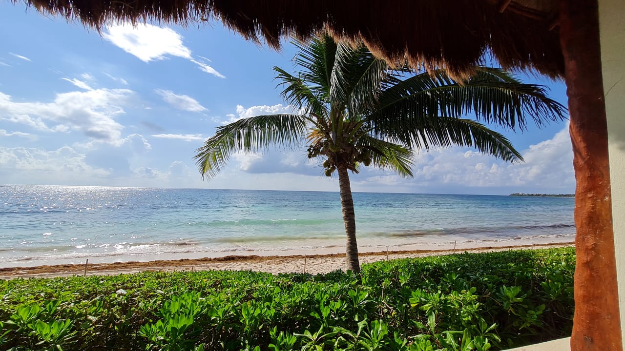 Gastro Akumal Bay Beach & Wellness Resort