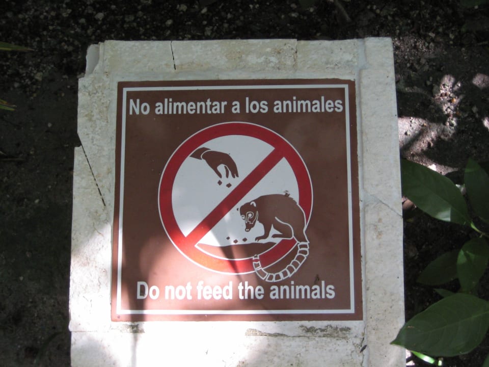 Sollte man beachten Catalonia Playa Maroma