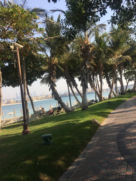 Gartenanlage Atlantis, The Palm