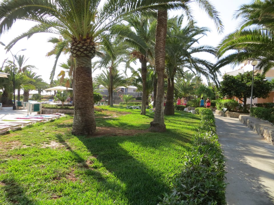 Ein Teil der Gartenanlage FERGUS Style Bahamas