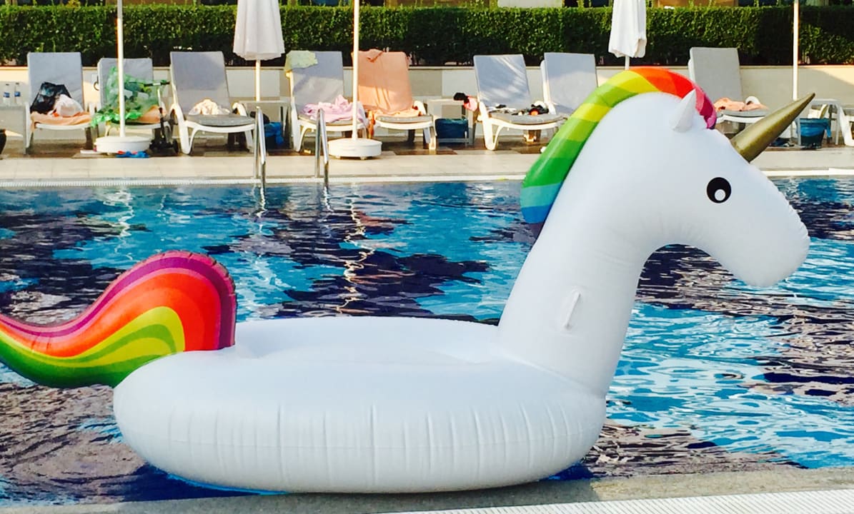 Pool Hotel Botanik Platinum