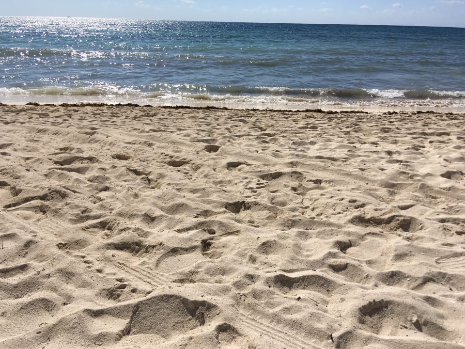 Strand Akumal Bay Beach & Wellness Resort