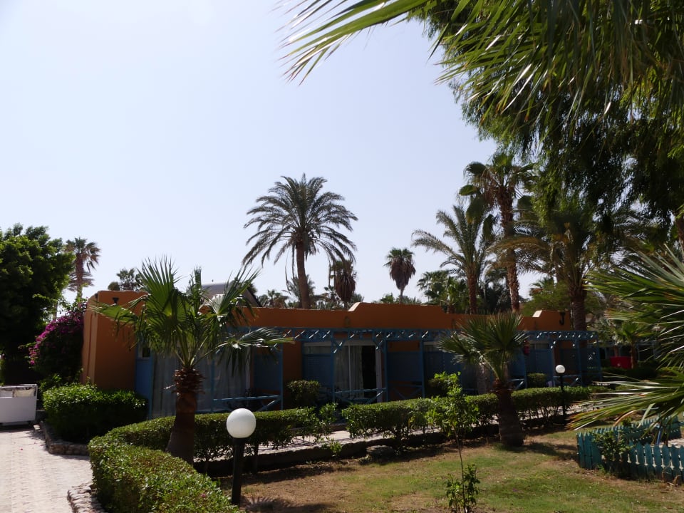 Zimmer Giftun Azur Resort