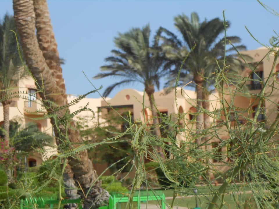 Außenansicht Jaz Solaya