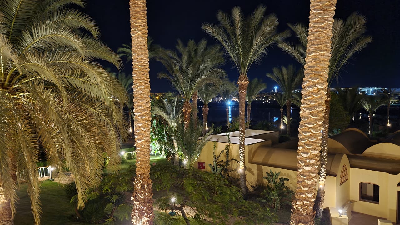 Gartenanlage Steigenberger Coraya Beach - Adults only