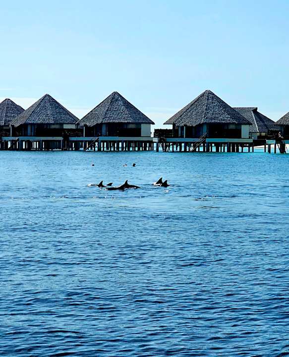 Außenansicht Adaaran Select Meedhupparu Island Resort - Premium All Inclusive