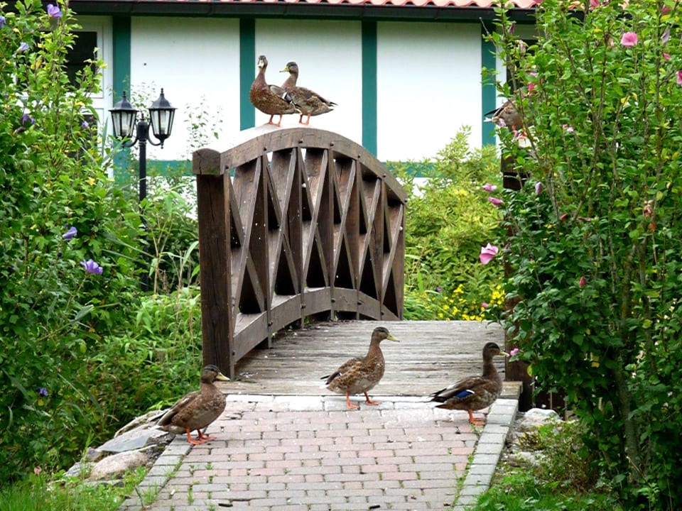 Parkidylle Gutshof Sparow (Im Umbau/Renovierung)