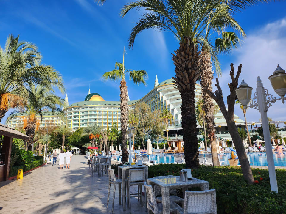 Pool Hotel Delphin Imperial