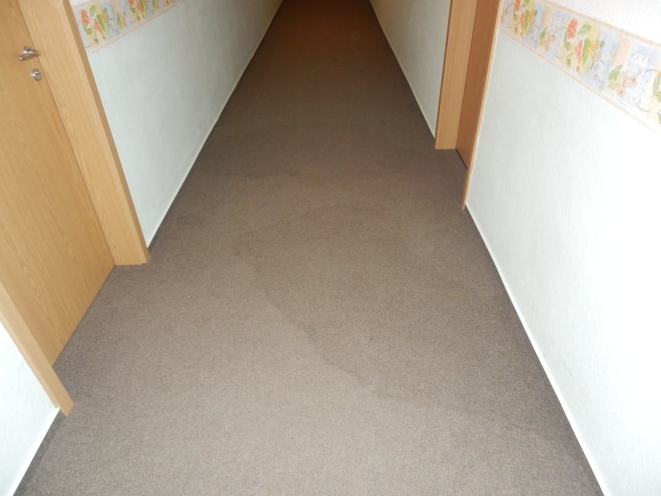 Etagenflur. Große Flecken auf dem Teppich. Apartmenthotel-Harz