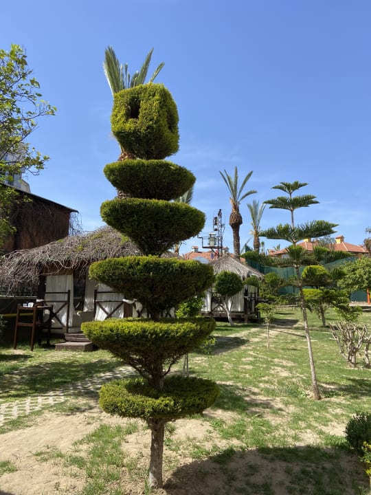 Gartenanlage Alaiye Resort & Spa