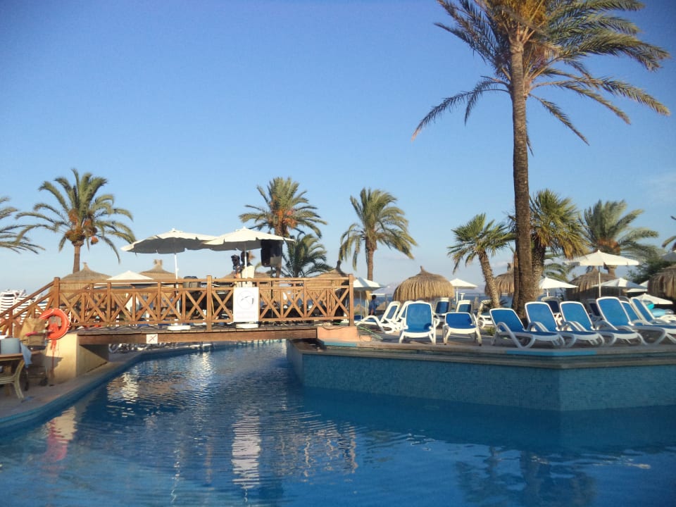 Der große Pool Hotel Condesa