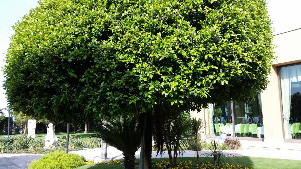 BÄUME Voyage Belek Golf & Spa