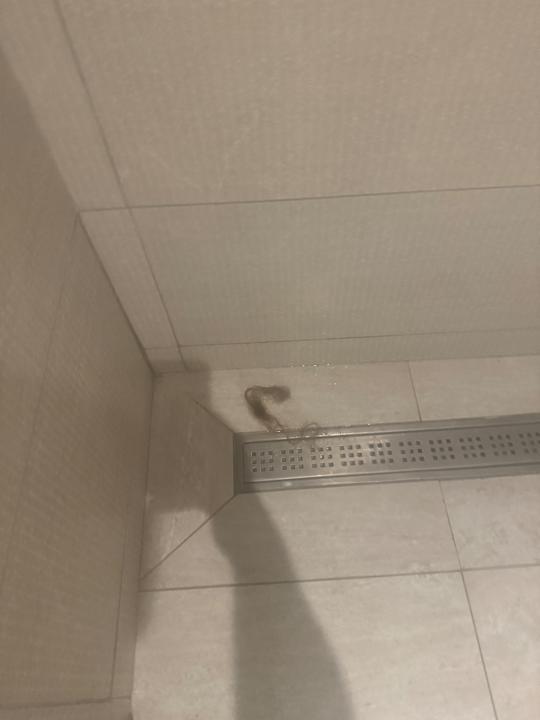 Zimmer Caribe Deluxe Princess