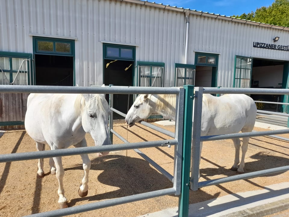 Sport & Freizeit Hotel Reiters Supreme