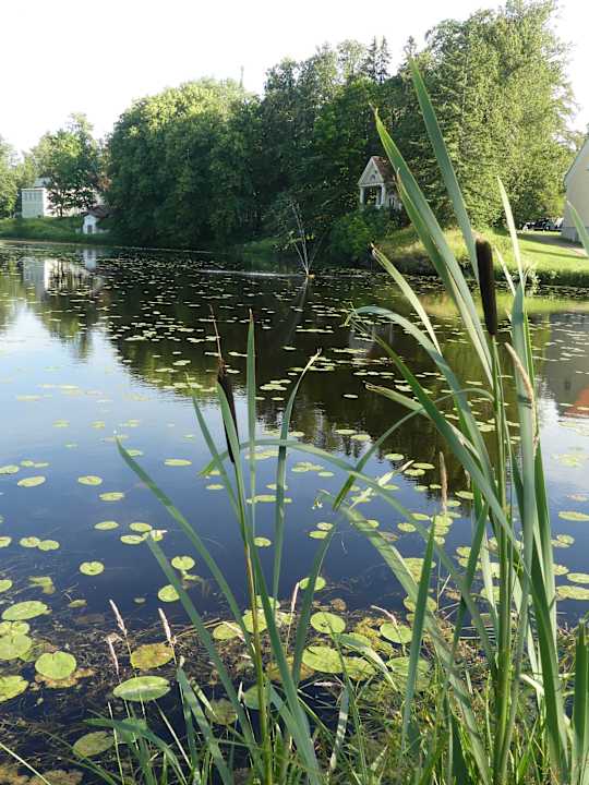 Gartenanlage Vihula Manor Country Club and Spa