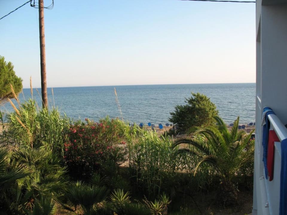 Widok z pokoju Sandy Beach Resort