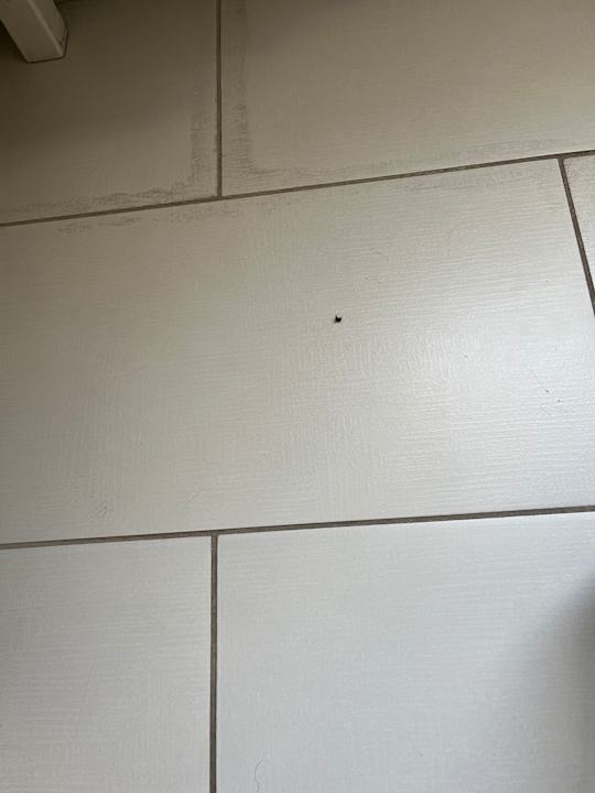 Zimmer Sunny Hill Hotel Apartments