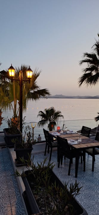 Gastro TUI MAGIC LIFE Bodrum - Adult Only (16+)