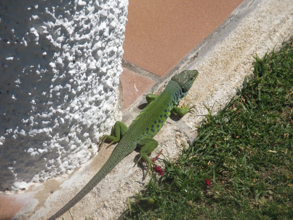 Sonstiges Hotel Playa de la Luz