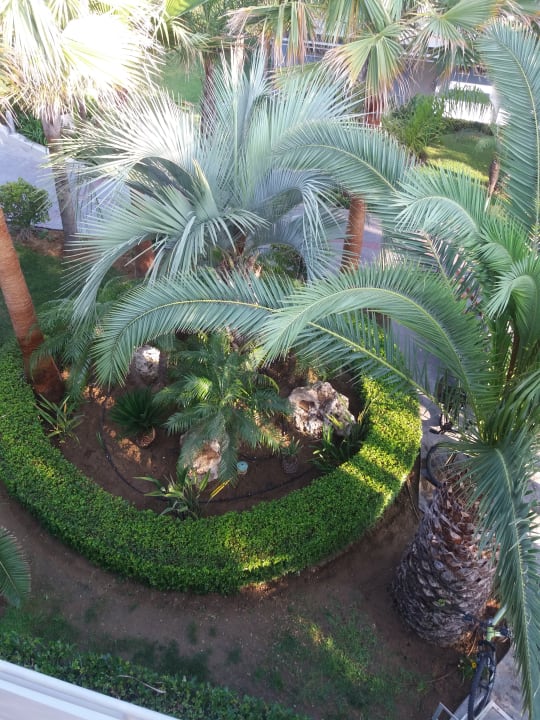 Gartenanlage Blue Lagoon Resort