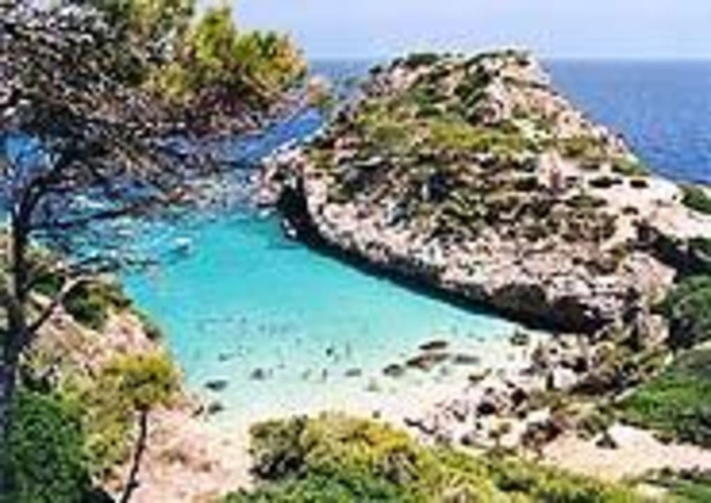 Wir fahren Sie an die geheimsten Buchten Ferienwohnung Penthouse