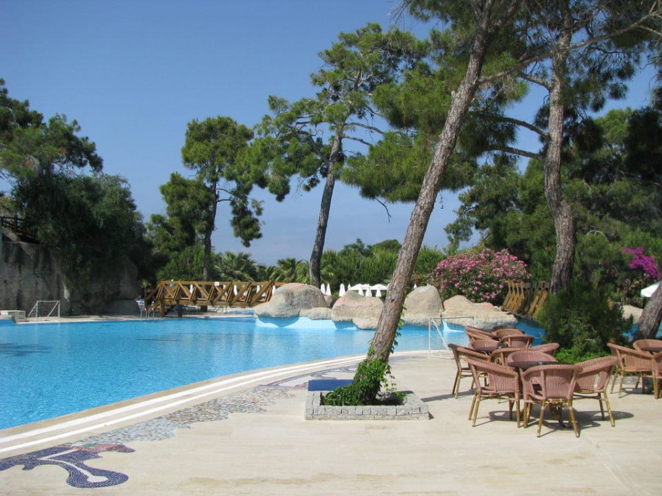 Pool am Morgen Blue Waters Club