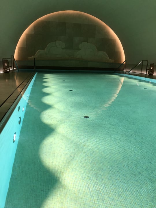 Pool Park Hyatt Vienna