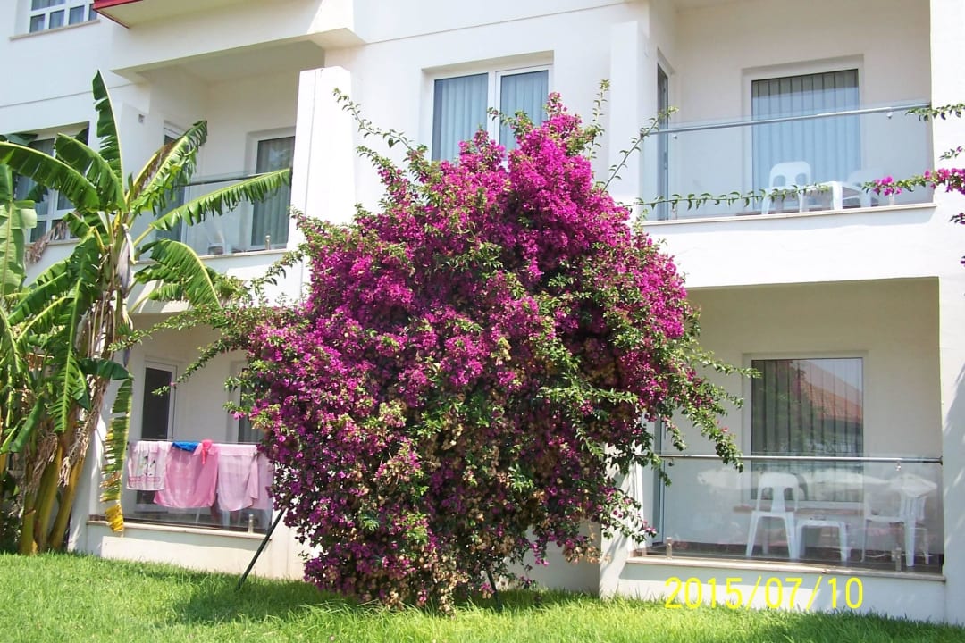 Bungalow Salamis Bay Conti Resort Hotel & Casino