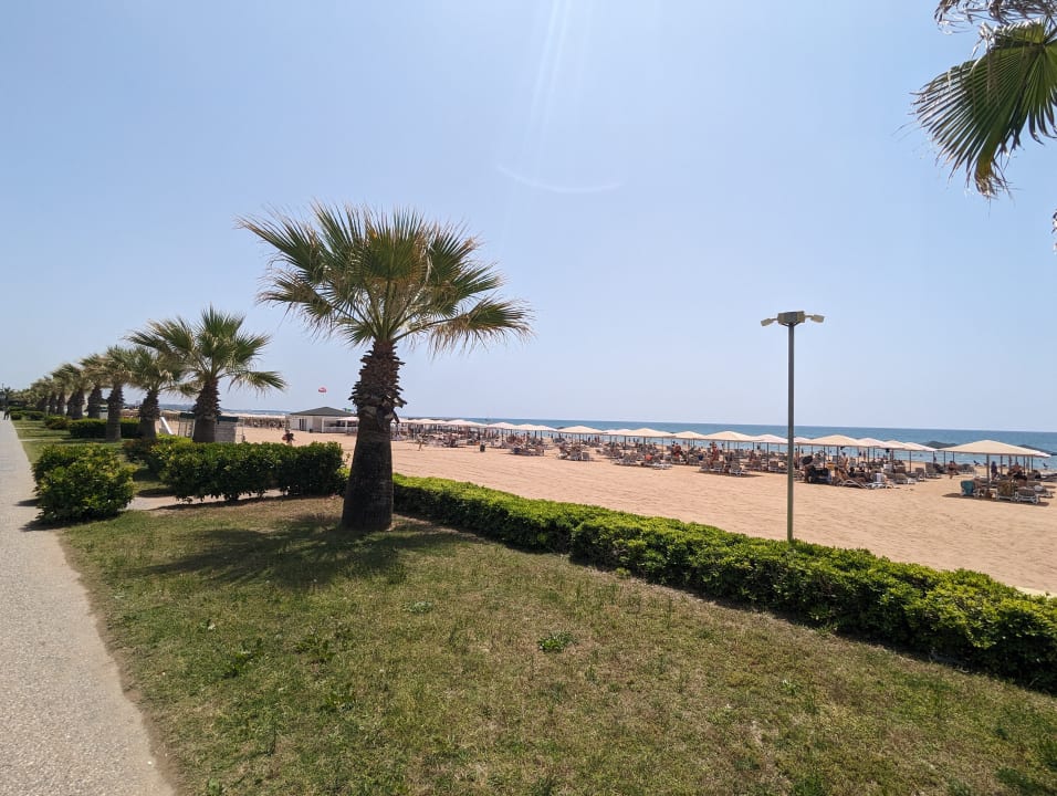 Strand Kamelya Aishen Club