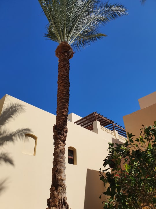 Außenansicht Jaz Makadi Saraya Resort