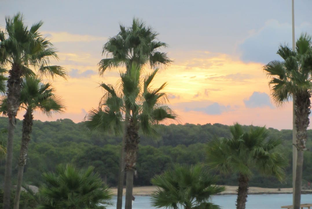 Vom Zimmer Hipotels Mediterraneo Club