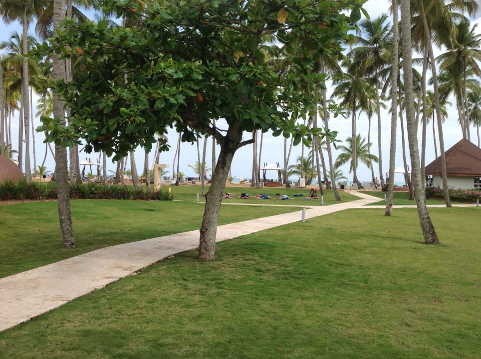 Gartenanlage Viva V Samana by Wyndham – Adults Only