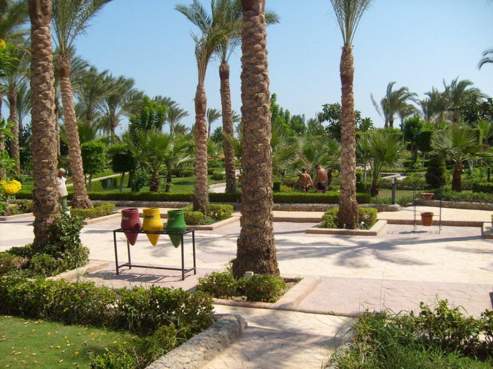 Ogród palmowy Riviera Aqua Park Resort