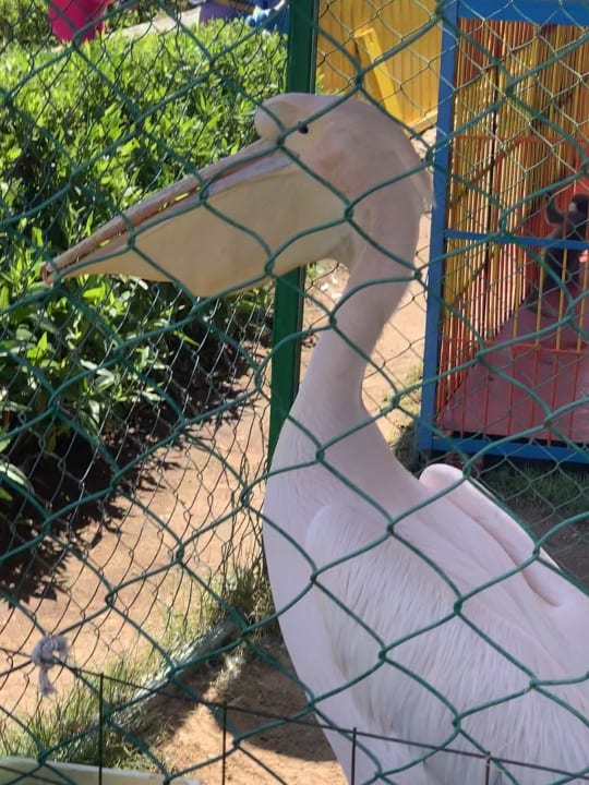 Gartenanlage Riviera Aqua Park Resort