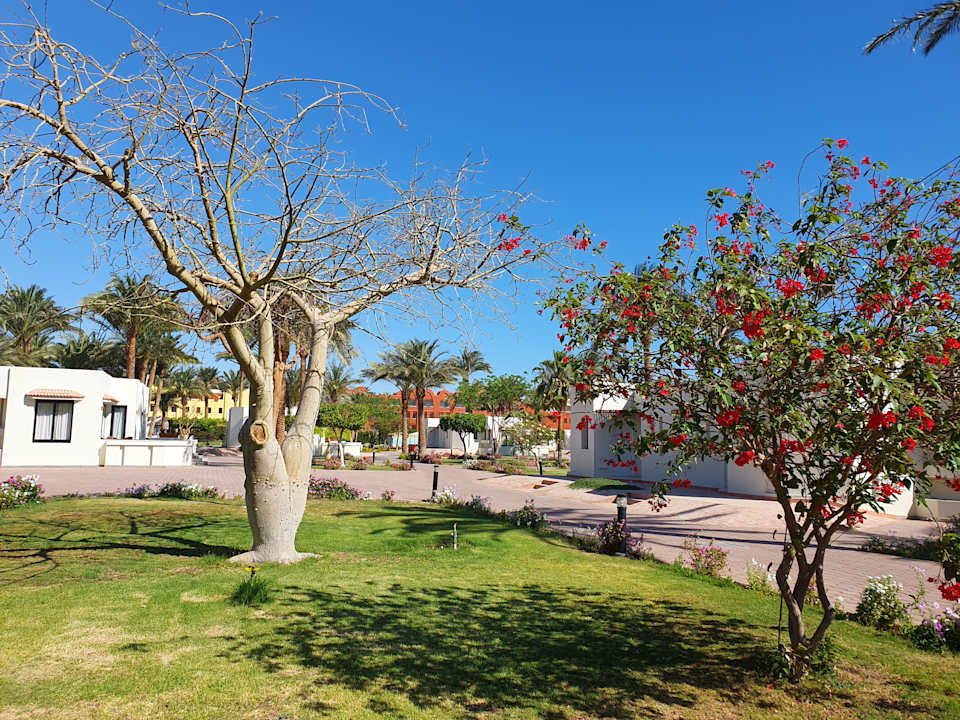 Gartenanlage Pharaoh Azur Resort