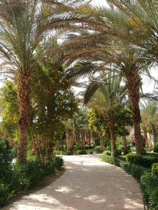 Außenansicht Dream Lagoon Resort & Aqua Park