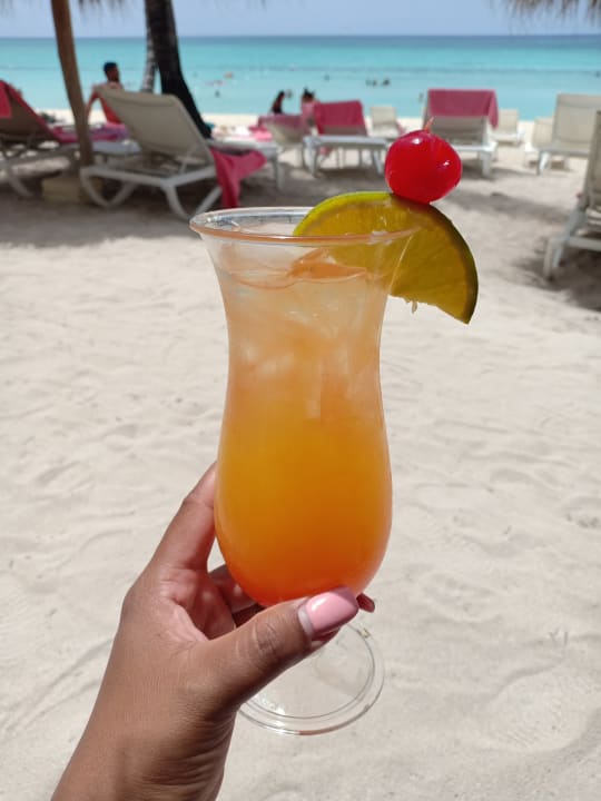 Gastro Catalonia Royal La Romana - Adults only