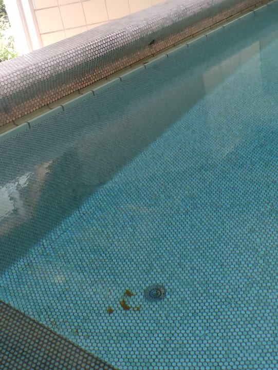 Pool SAVOY Hotel Bad Mergentheim