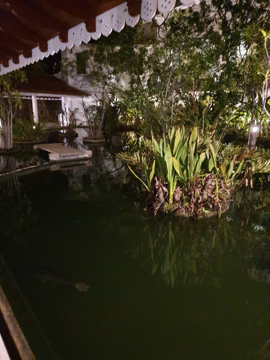 Sonstiges Tangerine Beach Hotel