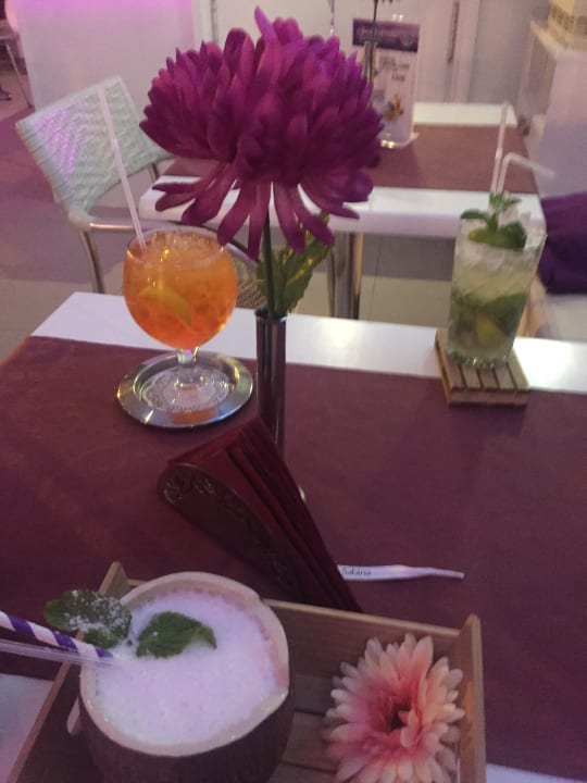 Gastro Relaxia Olivina