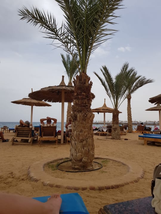 Strand Pickalbatros Aqua Vista Resort - Hurghada