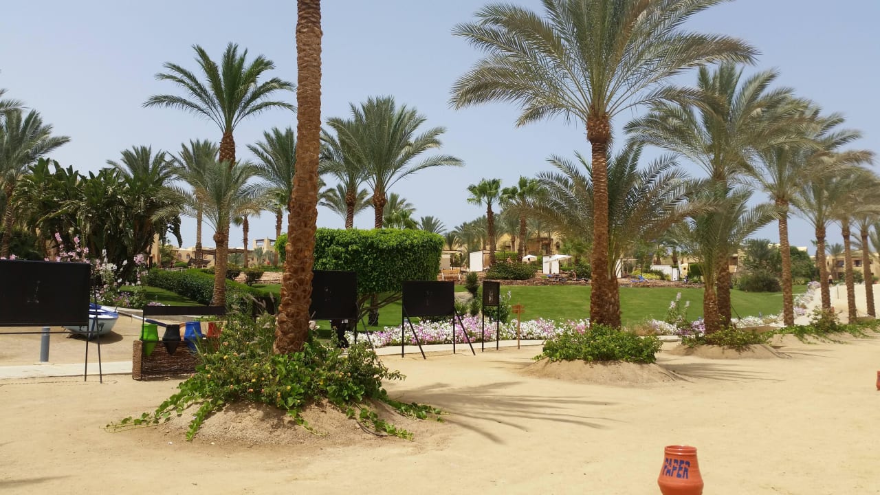 Palmen Steigenberger Coraya Beach - Adults only